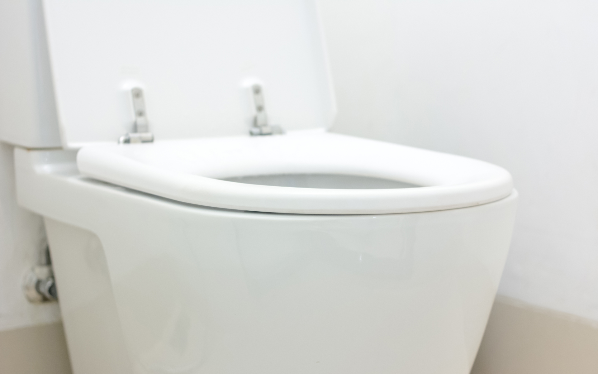 Springfield Toilet Repair