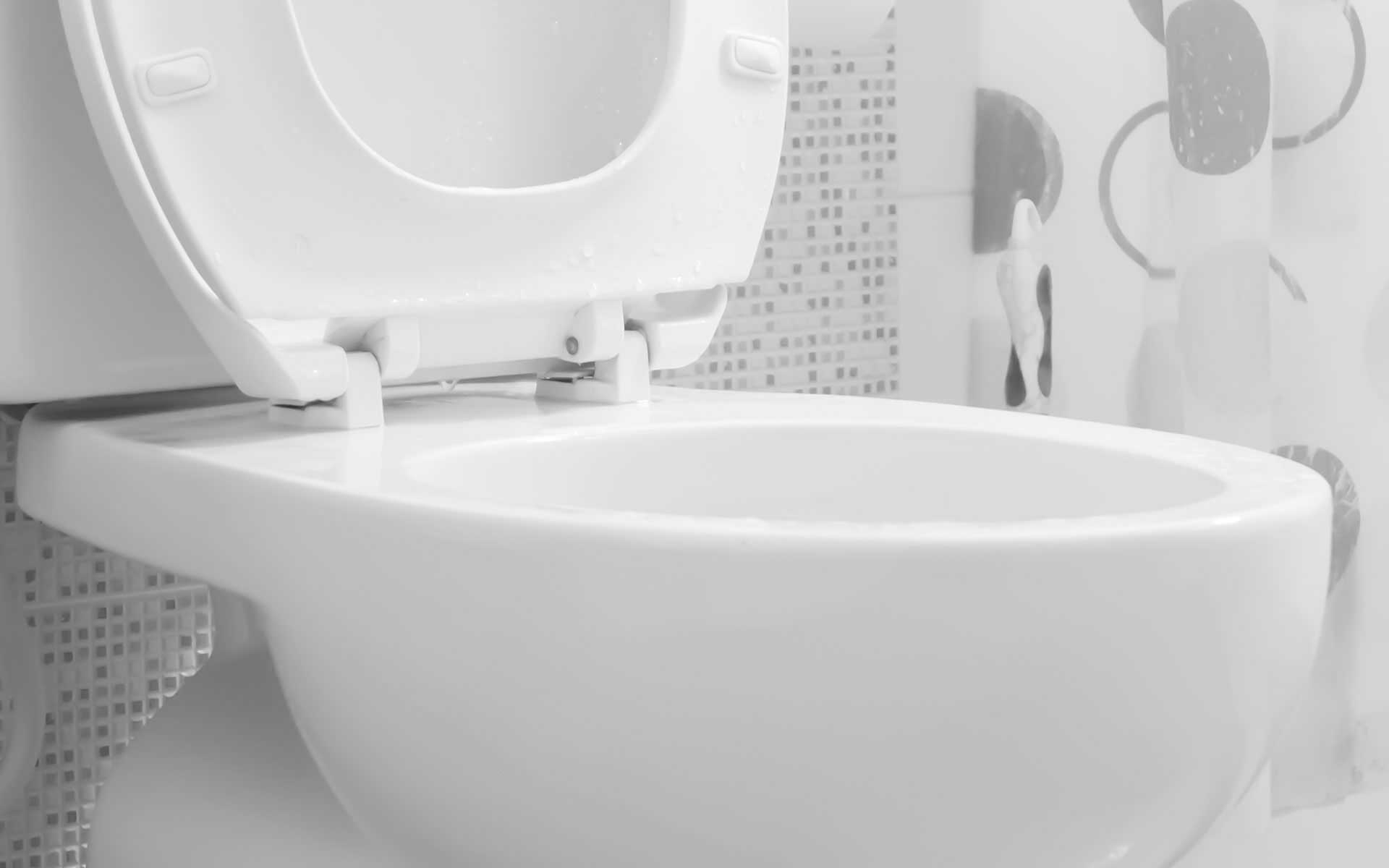 Springfield Plumbing Contractors